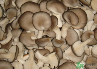 吃平菇有什么好處？平菇怎么做好吃？