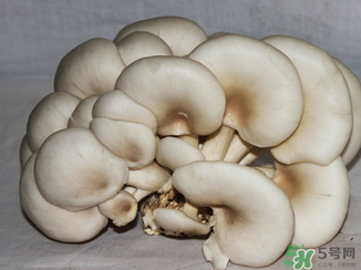 吃平菇有什么好處？平菇怎么做好吃？