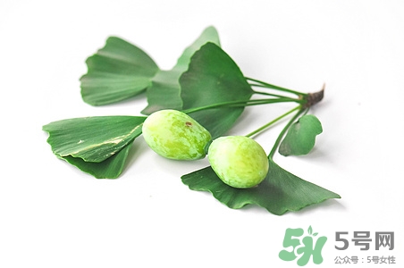 銀杏果能吃嗎?銀杏果有毒嗎 銀杏果能吃嗎?銀杏果有毒嗎