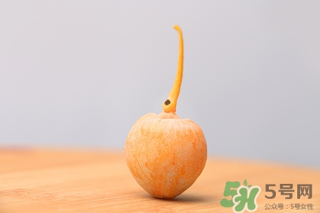 銀杏果能吃嗎?銀杏果有毒嗎 銀杏果能吃嗎?銀杏果有毒嗎