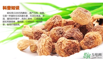 巴西蘑菇怎么吃？巴西蘑菇的作用與功效