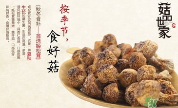 巴西蘑菇怎么吃？巴西蘑菇的作用與功效