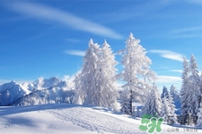 下雪穿什么鞋防滑效果最好？下雪天穿什么鞋子最防滑？