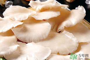 平菇怎么洗？平菇怎么洗才干凈？