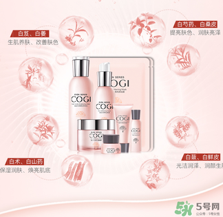 高姿大白水一套多少錢？高姿大白水多少錢一瓶？