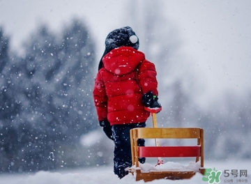 小雪喝什么茶？小雪茶品推薦