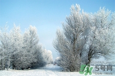 下雪天要打傘嗎？下雪天到底要不要打傘？