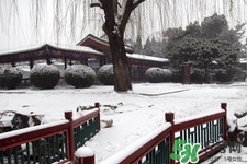 下雪高鐵會停運嗎？下雪天會影響高鐵嗎？