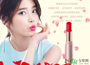 巧迪尚惠是哪個國家的？巧迪尚惠是幾線品牌？