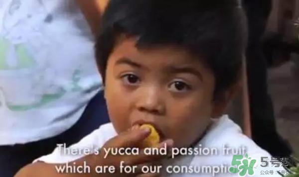 綠山咖啡和藍(lán)山咖啡有什么區(qū)別？