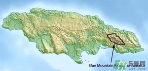 綠山咖啡和藍(lán)山咖啡有什么區(qū)別？