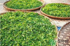 冬天喝什么茶能減肥？冬季九款茶暖胃又瘦身