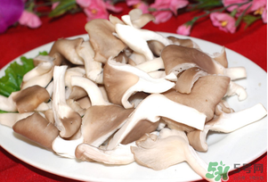 孕婦可以吃平菇嗎？孕婦吃平菇有什么好處？