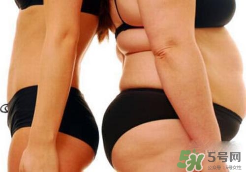 減肥反彈了還能再瘦下來(lái)嗎？減肥反彈后會(huì)不會(huì)難以再減了？