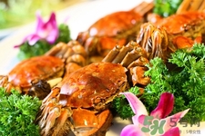 寶寶能吃螃蟹嗎？寶寶可以吃螃蟹肉嗎？