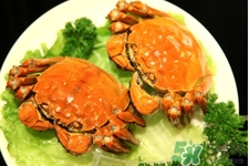 寶寶能吃螃蟹嗎？寶寶可以吃螃蟹肉嗎？