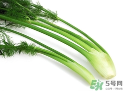 發(fā)燒可以吃茴香嗎?發(fā)燒吃茴香好嗎 發(fā)燒可以吃茴香嗎?發(fā)燒吃茴香好嗎