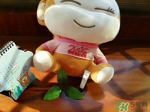 茱莉蔻玫瑰面膜怎么用？jurlique茱莉蔻玫瑰面膜使用方法