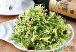 苦菊可以減肥嗎？苦菊怎么吃可以減肥？