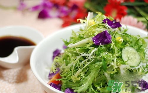 苦菊可以減肥嗎？苦菊怎么吃可以減肥？