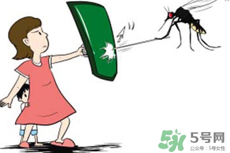 冬天為什么會(huì)有蚊子？冬天家里有蚊子怎么辦？