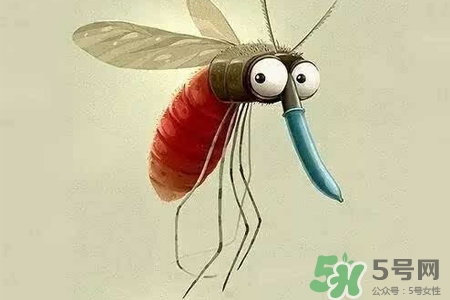 冬天為什么會(huì)有蚊子？冬天家里有蚊子怎么辦？