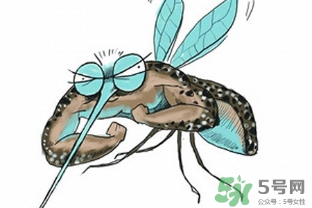 冬天為什么會(huì)有蚊子？冬天家里有蚊子怎么辦？