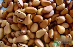 吃松子上火嗎？吃松子上火了怎么辦？