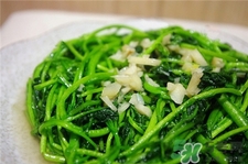 西洋菜的營養(yǎng)價值 西洋菜的功效與作用 西洋菜的營養(yǎng)價值 西洋菜的功效與作用