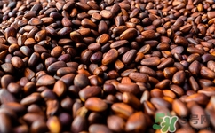 松子可以多吃嗎?松子吃多了會怎么樣 松子可以多吃嗎?松子吃多了會怎么樣