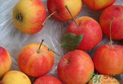 沙果可以釀酒嗎?沙果釀酒步驟方法介紹 沙果可以釀酒嗎?沙果釀酒步驟方法介紹