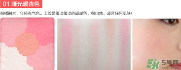 canmake花瓣腮紅珠光還是啞光好？canmake腮紅珠光好看還是啞光？