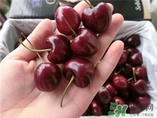 車?yán)遄釉趺聪床鸥蓛?車?yán)遄釉趺辞逑? 車?yán)遄釉趺聪床鸥蓛?車?yán)遄釉趺辞逑?