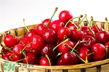 車?yán)遄拥臓I養(yǎng)價值 車?yán)遄拥墓πc作用