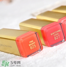 蜜絲佛陀口紅827和825哪個(gè)好 蜜絲佛陀827和825對比