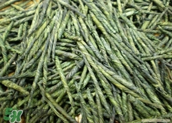 苦丁茶喝多了好嗎?苦丁茶的副作用是什么 苦丁茶喝多了好嗎?苦丁茶的副作用是什么