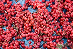 五味子茶韓國怎么喝？五味子茶的五種味道代表什么？