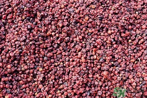 五味子茶韓國怎么喝？五味子茶的五種味道代表什么？