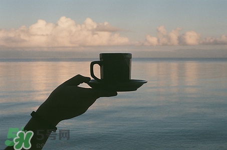 荷葉茶可以空腹喝嗎?早上空腹喝荷葉茶好嗎 荷葉茶可以空腹喝嗎?早上空腹喝荷葉茶好嗎