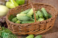 苦瓜去心火嗎?去心火的效果怎么樣 苦瓜去心火嗎?去心火的效果怎么樣