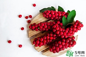 五味子茶韓國怎么喝？五味子茶的五種味道代表什么？