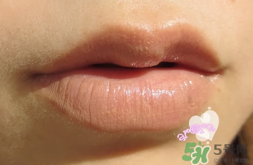 露小蜜口紅色號(hào) 露小蜜試色 露小蜜口紅色號(hào) 露小蜜試色