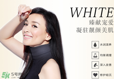 tst活酵母多少錢一瓶？tst活酵母的功效