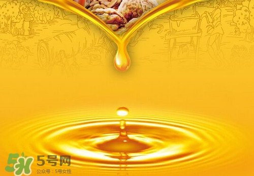 黃油可以代替玉米油嗎?玉米油可以用什么代替 黃油可以代替玉米油嗎?玉米油可以用什么代替