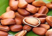 松子和核桃哪個(gè)營養(yǎng)價(jià)值更高？松子和核桃哪個(gè)更容易發(fā)胖？