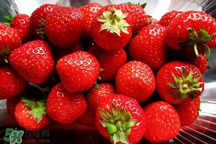 冬天有草莓嗎？冬天的草莓能吃嗎？