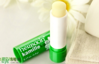 herbacin小甘菊唇膏多少錢？賀本清小甘菊唇膏價格