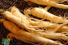 冬天可以吃西洋參嗎？冬天吃西洋參好嗎？