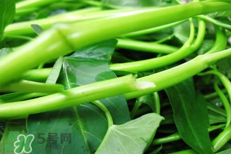 冬天可以吃空心菜嗎？冬天排毒多吃空心菜