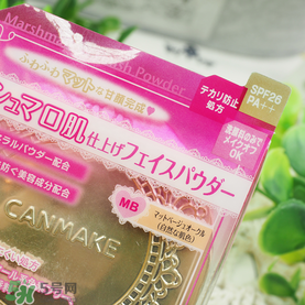 提亮膚色的護膚品排名榜_提亮膚色的面膜推薦